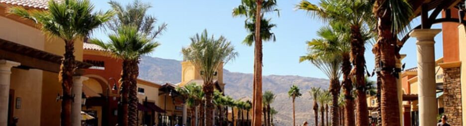 What Are the Best Places for Shopping in Palm Springs, CA?, THE WESTCOTT